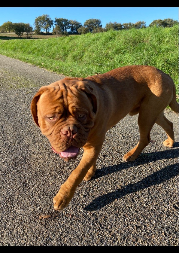 Ragnar lodbrok De La Garenne Basse